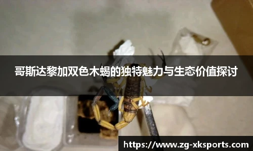 哥斯达黎加双色木蝎的独特魅力与生态价值探讨