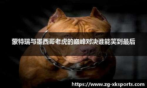 蒙特瑞与墨西哥老虎的巅峰对决谁能笑到最后